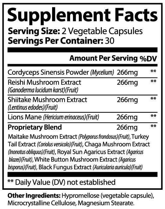 Mushroom Power Complex