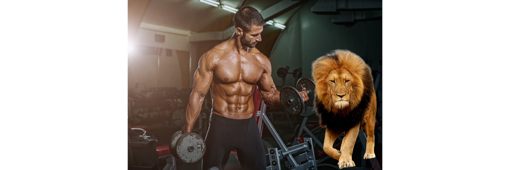 Unleashing Cognitive Enhancement: Lion's Mane as the Ultimate Pre-Workout Catalyst