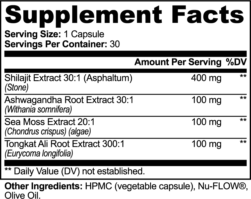 OBSIDIAN - Shilajit Complex